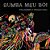 Bumba Meu Boi - Imagem 1