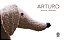 Arturo - Imagem 1