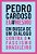 Pedro Cardoso Eu Mesmo Em Busca De Um Diálogo Contra O Fascismo Brasileiro - Imagem 1