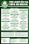 Coleção Oficial Histórica Palmeiras Edição 20 - Pôster Copa Do Brasil 2015 - Imagem 5