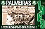 Coleção Oficial Histórica Palmeiras Edição 08 - Tetracampeão Brasileiro De 1969 - Imagem 2