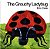 The Grouchy Ladybug Board Book - Imagem 1
