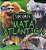 Biomas Do Brasil - Tudo Sobre A Mata Atlantica - Imagem 1