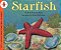 Starfish - Stage 1 - Imagem 1
