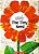 The Tiny Seed - Grades K - 2 - Imagem 1