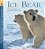 Ice Bear - In The Steps Of The Polar Bear-.. - Imagem 1