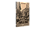Anistia - Imagem 4