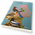 Poemas Tardios - Imagem 3