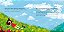 A Fazedora De Nuvens - Imagem 3