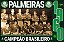 Coleção Oficial Histórica Palmeiras Edição 04 - Campeão Brasileiro De 1960 - Imagem 2