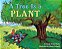A Tree Is A Plant - Let's Read And Find Out Science - Level 1 - Imagem 1