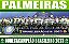 Show De Bola Magazine Superpôster - Palmeiras Campeão Brasileiro 2023 - Imagem 2