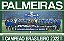 Show De Bola Magazine Super Pôster - Palmeiras Campeão Brasileiro 2022 - Imagem 2