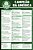 Coleção Oficial Histórica Palmeiras Edição 17 - Pôster Libertadores 1999 - Imagem 5
