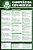 Coleção Oficial Histórica Palmeiras Edição 16 - Pôster Mercosul 1998 - Imagem 5