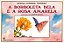 A Borboleta Bela E A Rosa Amarela - Imagem 1