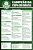 Coleção Oficial Histórica Palmeiras Edição 15 - Pôster Copa Do Brasil 1998 - Imagem 5
