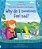 Why Do I (Sometimes) Feel Sad? - Lift-The-flap Very First Questions And Answers - Imagem 1