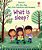 What Is Sleep? - Lift-The-flap Very First Questions And Answers - Imagem 1