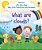 What Are Clouds? - Lift-The-flap Very First Questions And Answers - Imagem 1
