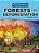 Forests And Deforestation - Imagem 1