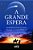 A Grande Espera..- - Imagem 1