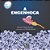 A Engenhoca..- - Imagem 1