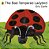 The Bad Tempered Ladybird 2010 Ok - Imagem 1