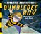 The Amazing Adventures Of Bumblebee Boy-.. - Imagem 1