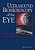 Ultrasound Biomicroscopy Of The Eye-.. - Imagem 1
