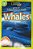 Whales - National Geographic Kids - Level 3 - Imagem 1
