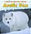 Arctic Fox - A Day In The Life: Polar Animals-.. - Imagem 1