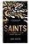 Saints: A New Legendary Of Heroes, Humans, And Magic-.. - Imagem 1
