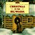 Christmas In The Big Woods: A Christmas Holiday Book For Kids-.. - Imagem 1