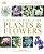 Encyclopedia Of Plants And Flowers-.. - Imagem 1