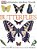 Ultimate Sticker Book: Butterflies: More Than 60 Reusable Full-Color Stickers [With Stickers]-.. - Imagem 1