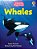 Beginners Whales-.. - Imagem 1