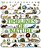 Timelines Of Nature: Discover The Secret Stories Of Our Ever-Changing Natural World-.. - Imagem 1