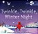 Twinkle, Twinkle, Winter Night: A Winter And Holiday Book For Kids-.. - Imagem 1