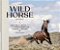 The Wild Horse Effect: Awe, Well-Being, And The Transformative Power Of Nature-.. - Imagem 1