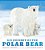 Ice Journey Of The Polar Bear-.. - Imagem 1