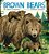 Brown Bears-.. - Imagem 1