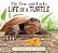 The True And Lucky Life Of A Turtle-.. - Imagem 1