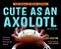 Cute As An Axolotl: Discovering The World's Most Adorable Animals-.. - Imagem 1