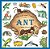 The Life And Times Of The Ant-.. - Imagem 1