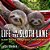 Life In The Sloth Lane: Slow Down And Smell The Hibiscus-.. - Imagem 1