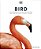 Bird, New Edition-.. - Imagem 1