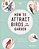 How To Attract Birds To Your Garden: Foods They Like, Plants They Love, Shelter They Need-.. - Imagem 1
