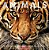 Animals: Witness Life In The Wild Featuring 100S Of Species-.. - Imagem 1