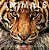 Animals: Witness Life In The Wild Featuring 100S Of Species-.. - Imagem 1